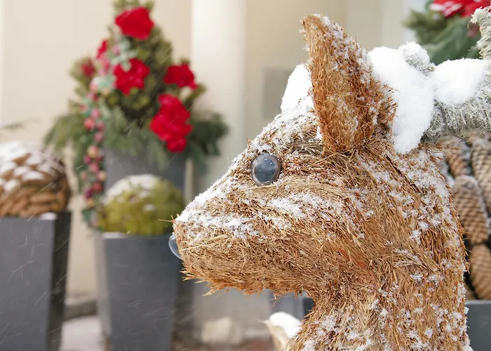 Schoenruh Otel Ehrwald