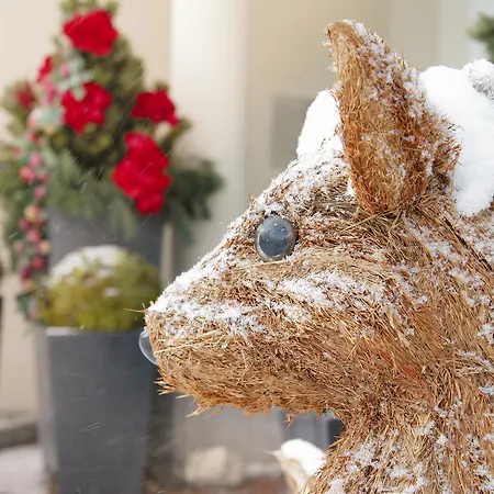 Schoenruh Otel Ehrwald